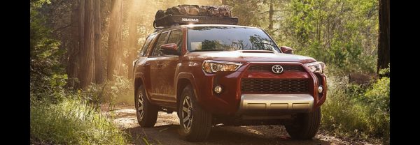 A 2019 Toyota 4Runner parked in the woods