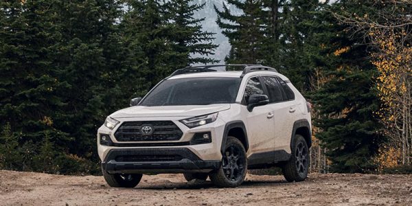 2022 Toyota RAV4 Overview in Raleigh, NC
